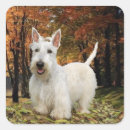 Search for wheaten terrier stickers Dogs