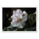 Search for african violets cards Thinking of you