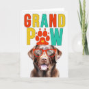Search for chocolate lab cards Pets