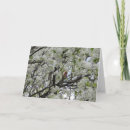 Search for pear tree cards Nature