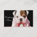Search for valentines business cards Dog