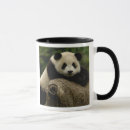 Search for temperate mugs Asia