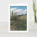 Search for arid cards Arizona