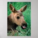 Search for low lying posters Portrait