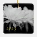 Search for macro christmas tree decorations Flower
