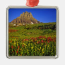 Search for not a people person christmas tree decorations Nobody