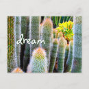 Search for cactus postcards Green