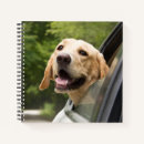 Search for labrador notebooks Cute