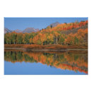 Search for four seasons posters Usa