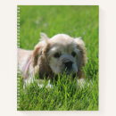 Search for cocker spaniel notebooks Canine