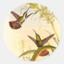 Search for colourful hummingbird stickers Flower