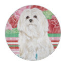 Search for della Dog
