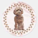 Search for cockapoo stickers Poodle