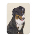 Search for bernese magnets Puppy