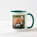 Search for chinese panda mugs Pandas