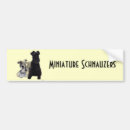 Search for schnauzer bumper stickers Animals