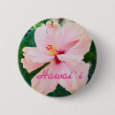 Search for oahu badges Kauai