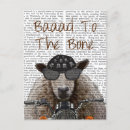 Search for bones postcards Animals