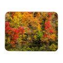 Search for north carolina magnets Pisgah national forest