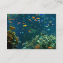Search for aquarium business cards Tropical