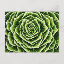 Search for nature pattern postcards Botanical
