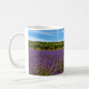 Search for provence lavender mugs Valensole