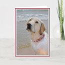 Search for labrador fathers day cards Yellow lab