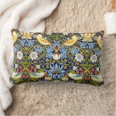 Search for artist cushions William morris
