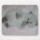 Search for cutest mousepads Kitten