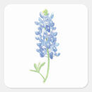 Search for bluebonnet stickers Watercolor