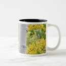Search for yellow mountain mugs Colorado