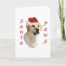 Search for yellow lab christmas cards Animals