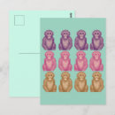 Search for funny monkey postcards Jungle