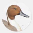 Search for mirror image stickers Nature