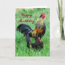 Search for barnyard animals birthday cards Cute