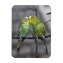 Search for snuggly Green