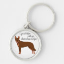 Search for australian kelpie accessories Pet
