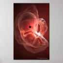 Search for front view art People
