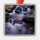Search for creek christmas tree decorations Stream