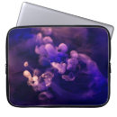 Search for wisp Purple