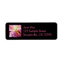 Search for stargazer lily return address labels Floral