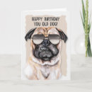 Search for pug lover birthday cards Pugs