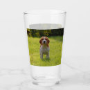 Search for dog tumblers Pet