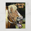 Search for laughing horse postcards Smile