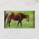 Search for bay business cards Photography