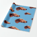Search for doxie wrapping paper Weiner