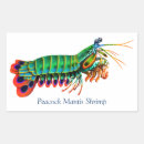Search for saltwater aquarium stickers Reef
