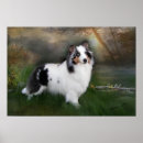 Search for sheltie posters Animals