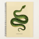 Search for crawly Snake