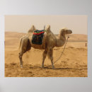 Search for camel art Sand